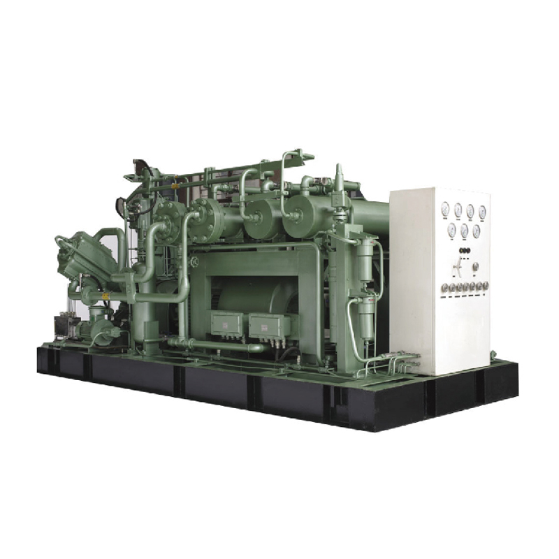sollant CNG Standard Station Compressor